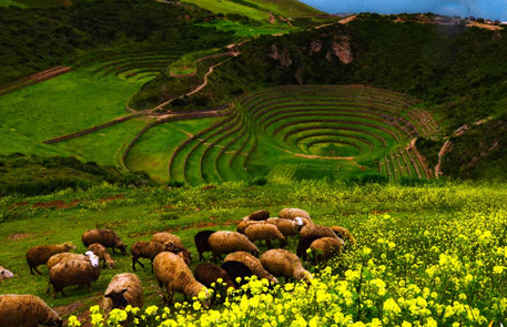 Cusco Ancient Inka Sites 6D/5N